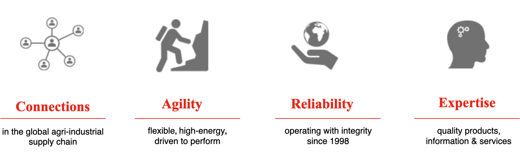 ZONCHEM Corporate Concept